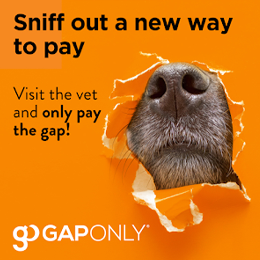 Gap Only Pet Insurance Claims